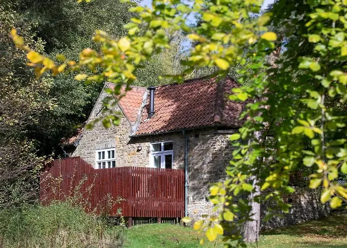 Keldy Forest - Forest Holidays * Pickering