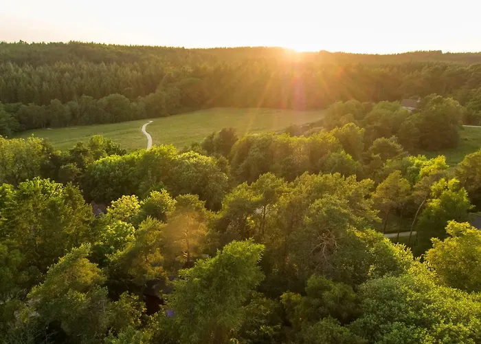 Holiday park Keldy Forest - Forest Holidays Pickering