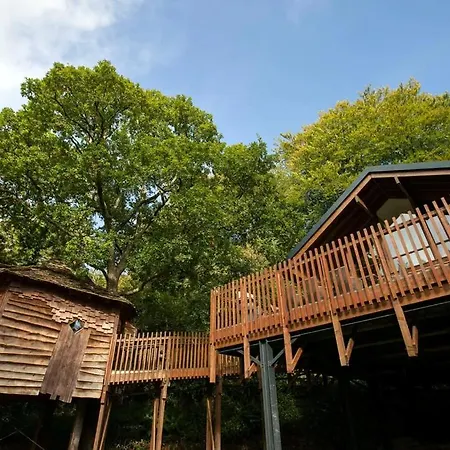 Keldy Forest - Forest Holidays