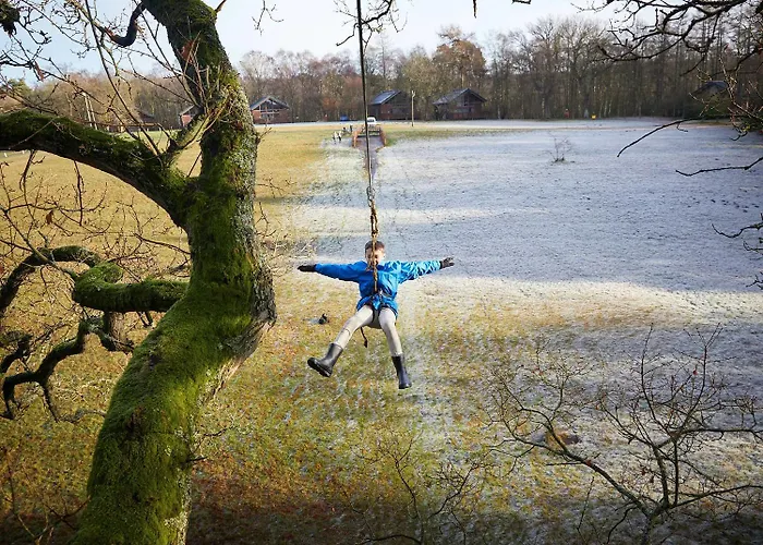 假日公园 Keldy Forest - Forest Holidays *