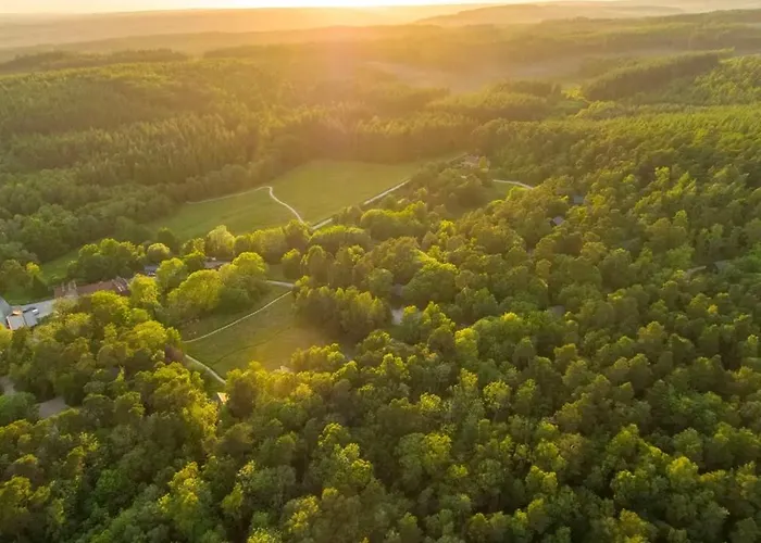 Keldy Forest - Forest Holidays 假日公园 皮克林