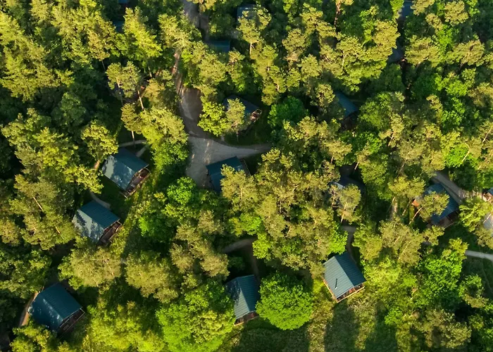 Keldy Forest - Forest Holidays 皮克林